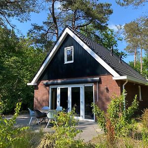 Luxe Vakantiehuis Vosje Op De Veluwe Nunspeet